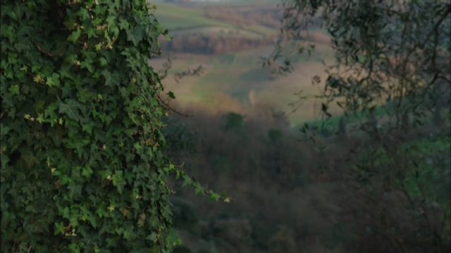 Peindre le paradis Gertrude Baillot